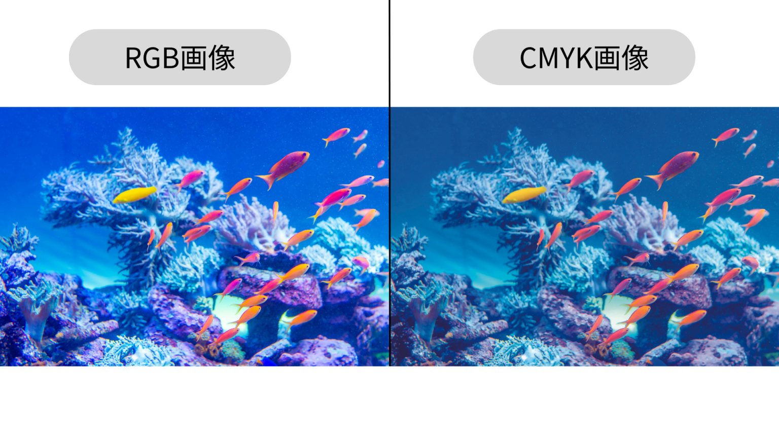 RGBとCMYKの違いとは？特徴や変換方法なども解説！ | コミュニケーションサプリ