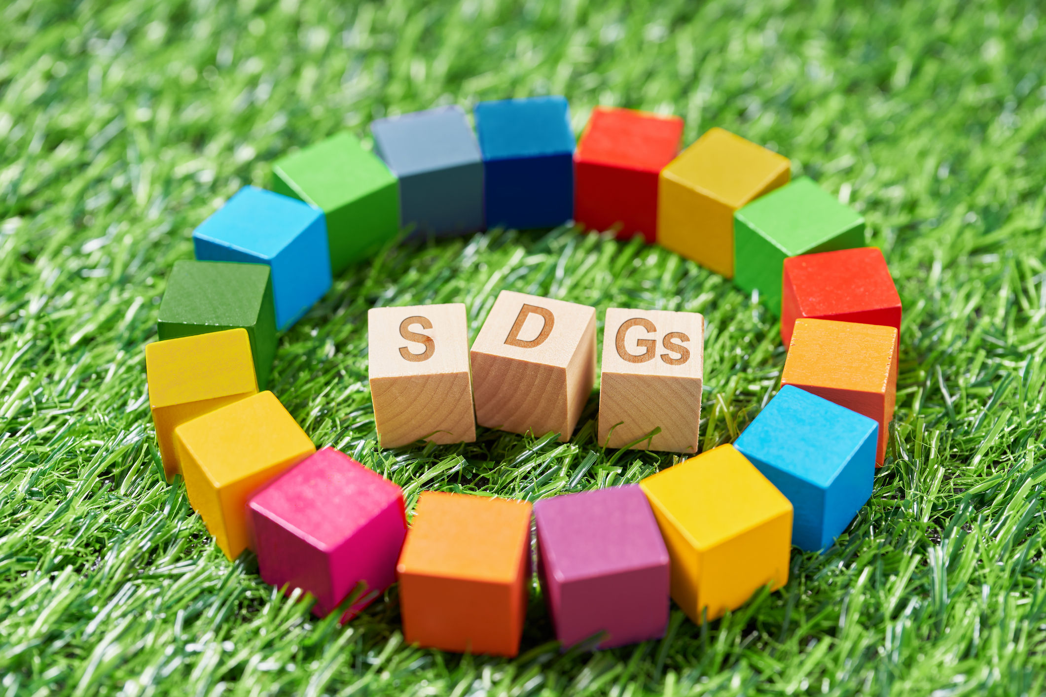 SDGsの達成に向けて私たちにできることとは？17の目標や取り組み事例を紹介