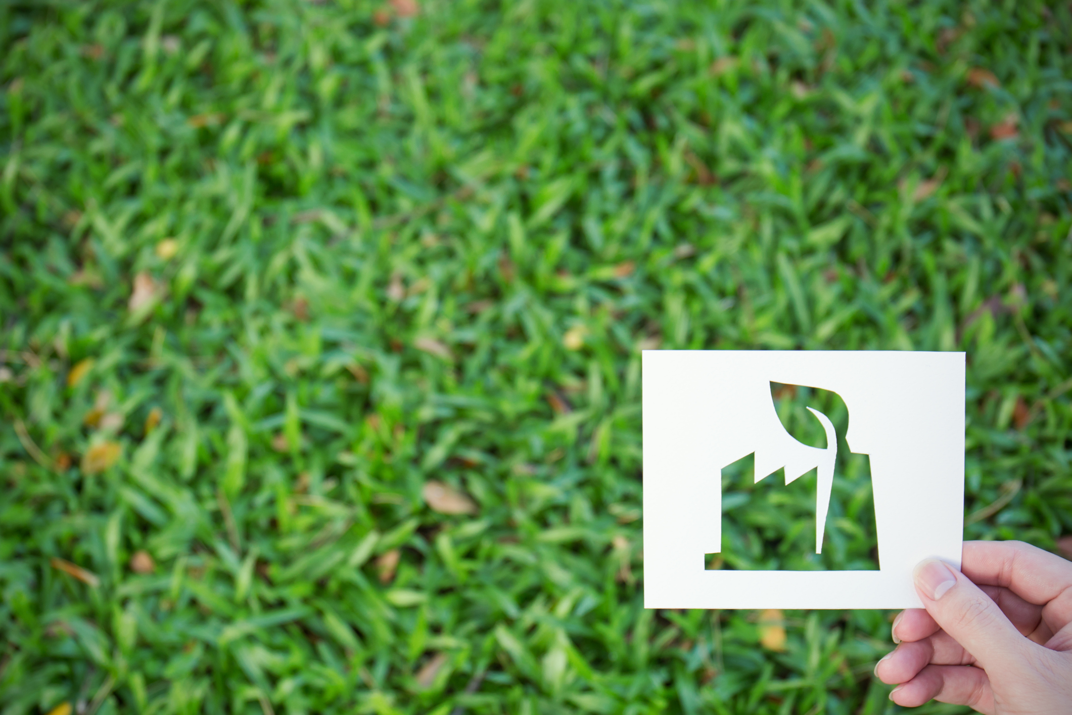 LIMEXと印刷業のSDGs・脱炭素時代の関係性